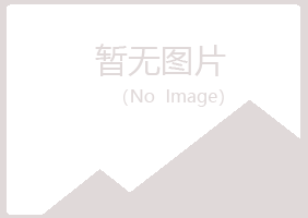 济南长清夏岚银行有限公司